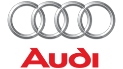 Adaptoare Difuzoare Audi