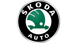 Accesorii multimedia Skoda