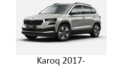 Pornire motor din telefon/pager Skoda Karoq 2017- alarma Pandora